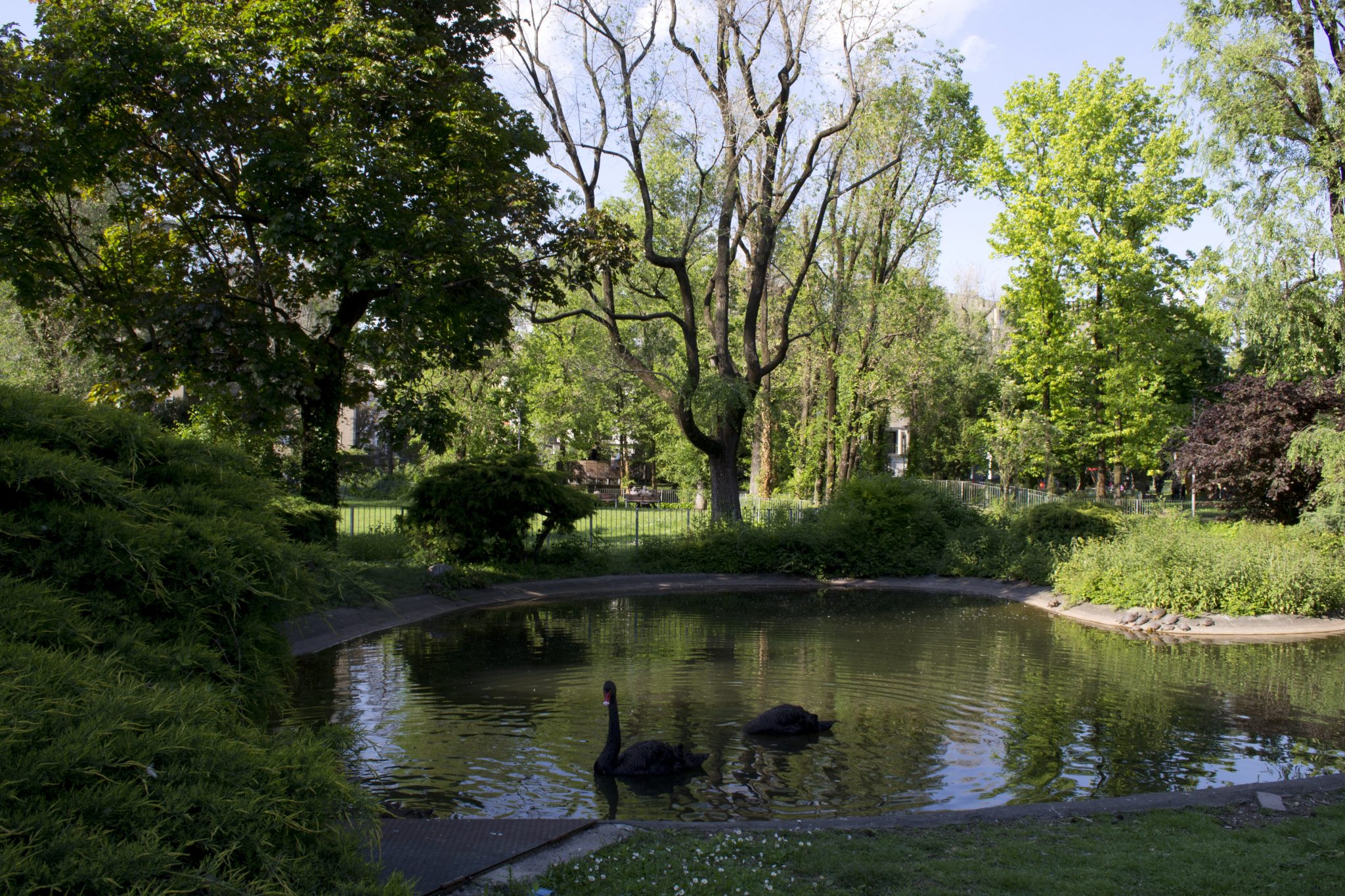 Magic_Place_Bergamo-Parco_Locatelli